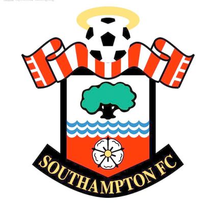 是从替补到 是从替补到